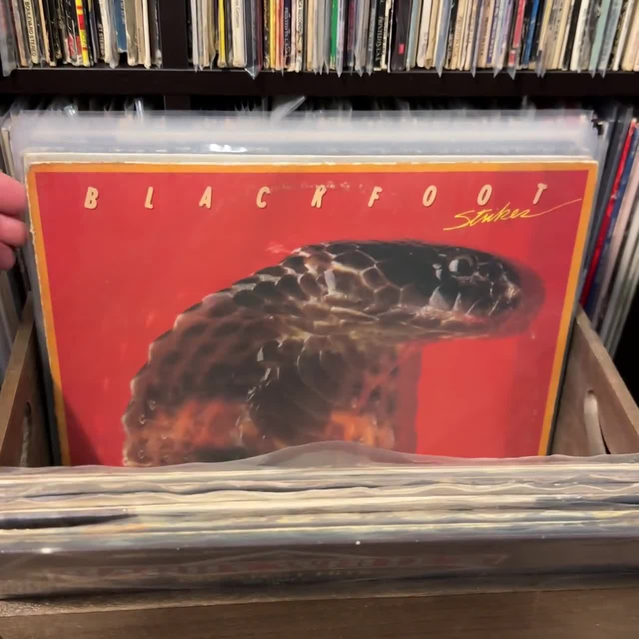 George Harrison cloud Nine Vinyl Record Album 1980s Classic Rock