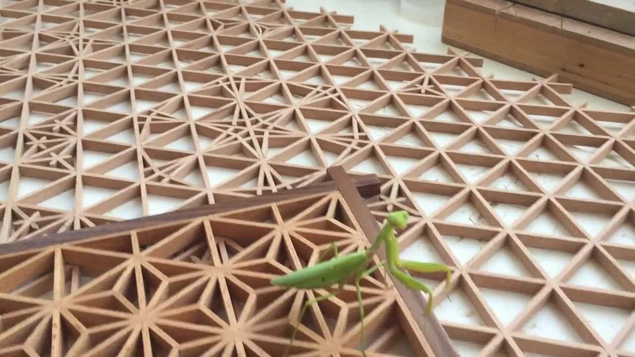 希少品 木製鞘 柄 ヴィンテージ 模造刀 まとめ売り 古美術 骨董品