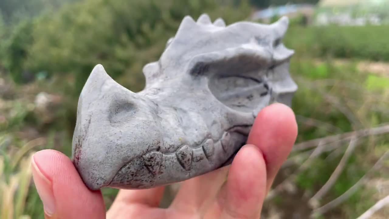 天然水晶ドラゴンヘッドスカル：クリスタルヒーリングデコレーション