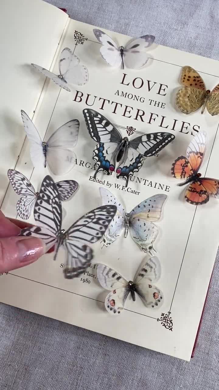 The Butterfly Silk