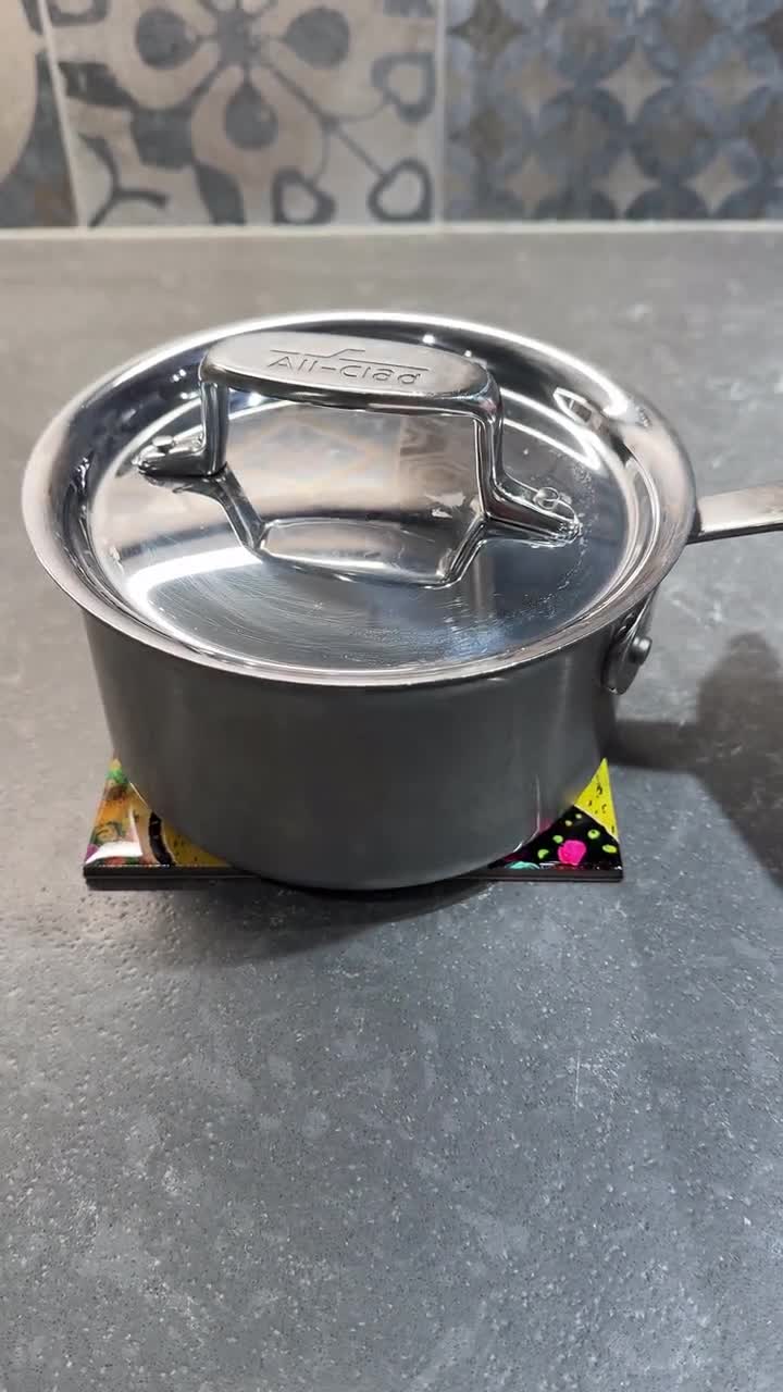 16 Designs! Dragonfly Trivets for Hot Dishes - Gift for Dragonfly