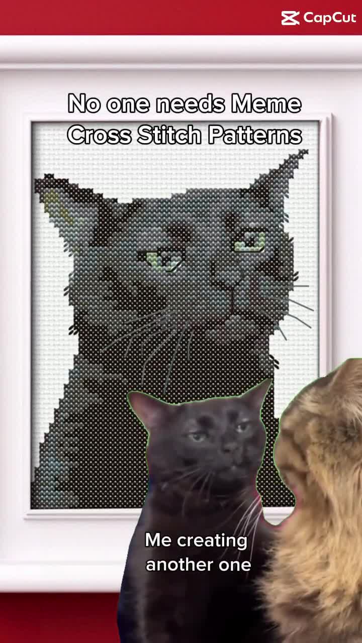 CapCut_black hoodie cat pfp tutorial