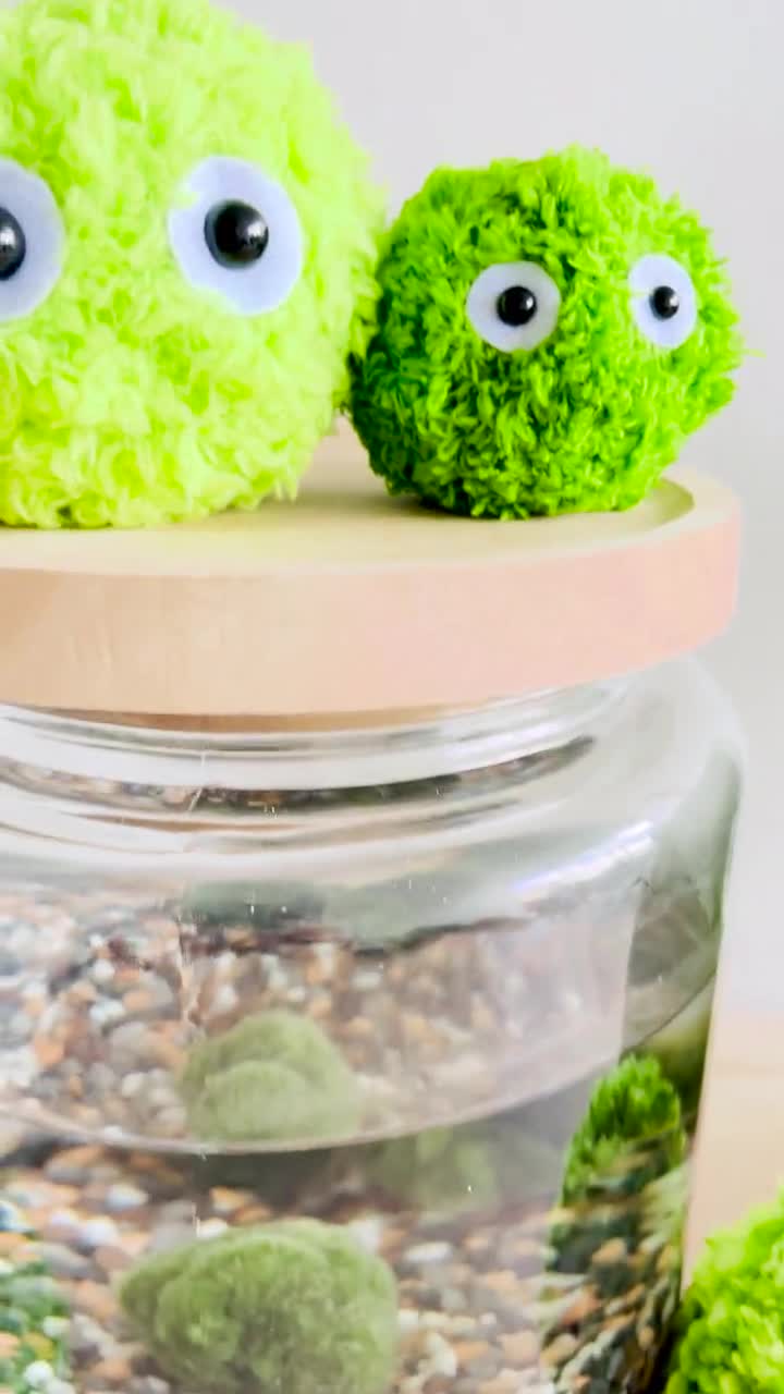 Mö the Marimo Moss Ball Plush Crochet – Kawaii Handmade Gift