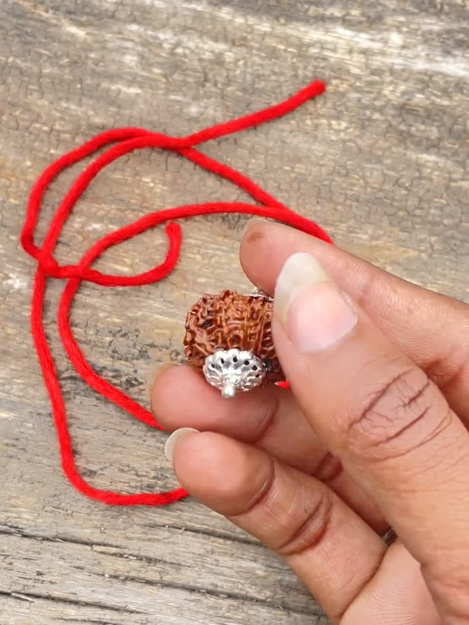14面ルドラクシャシルバーペンダント - 28mm、ラボ証明書付き - Etsy 日本