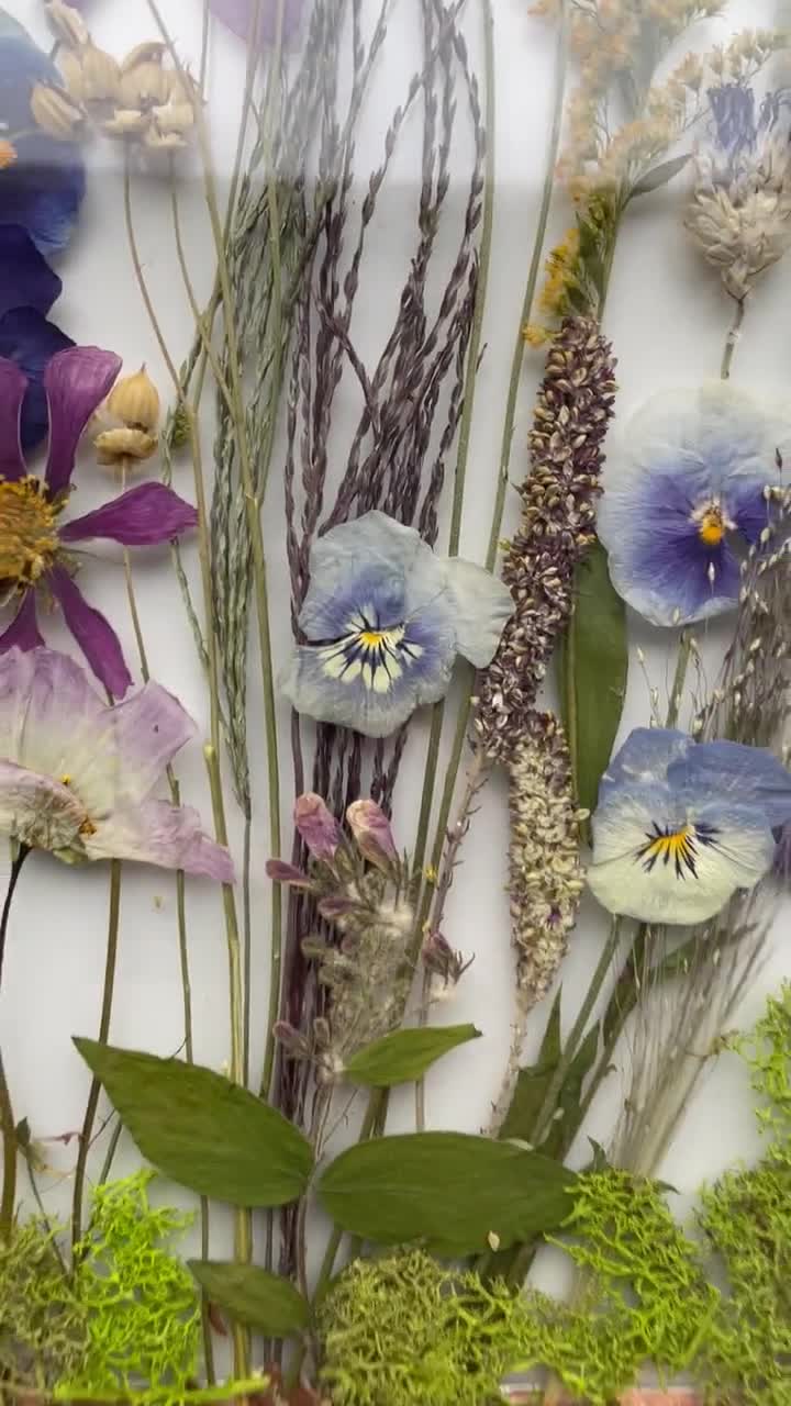 purple pressed flower wall art decor for earthy bedroom deco by Studio  Wildflower