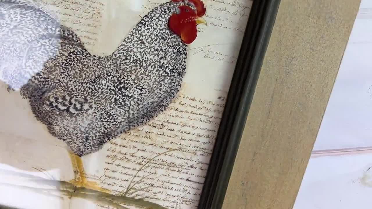 Vintage Framed Print Isabelle De Borchgrave Rooster 