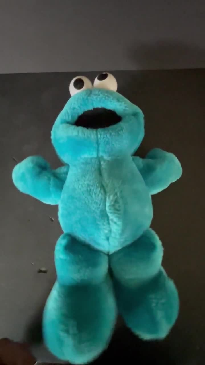 Itty Bittys Sesame Street Cookie Monster Plush with Sound