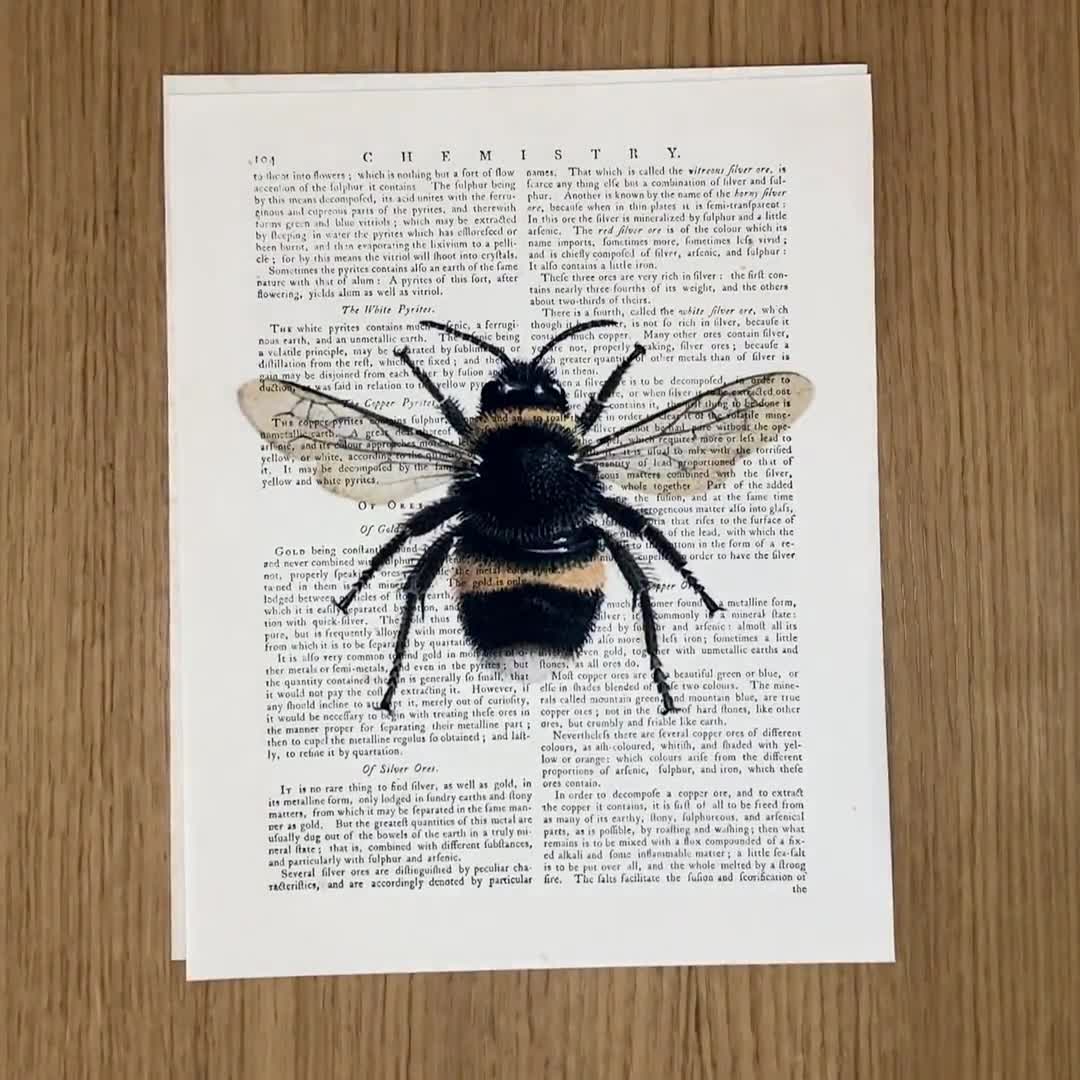 Set of 3 Prints, Sunflower Dictionary Book Page Art, Lavender with Bee Art Prints, Botanical Wall Art, Nature Wall Decor video poster