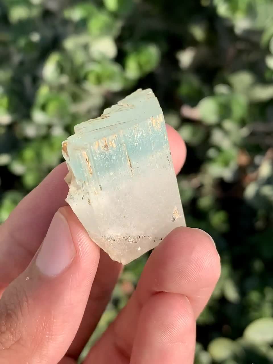 バイカラーアクアモルガナイトクリスタル：ピンク＆グリーンベリル標本