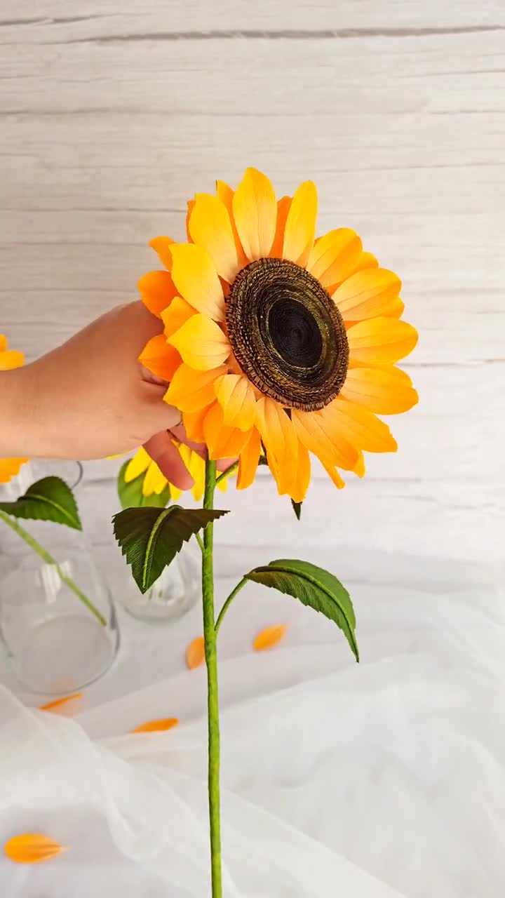 DIY de primavera: Cómo hacer flores de papel – Xplora ES