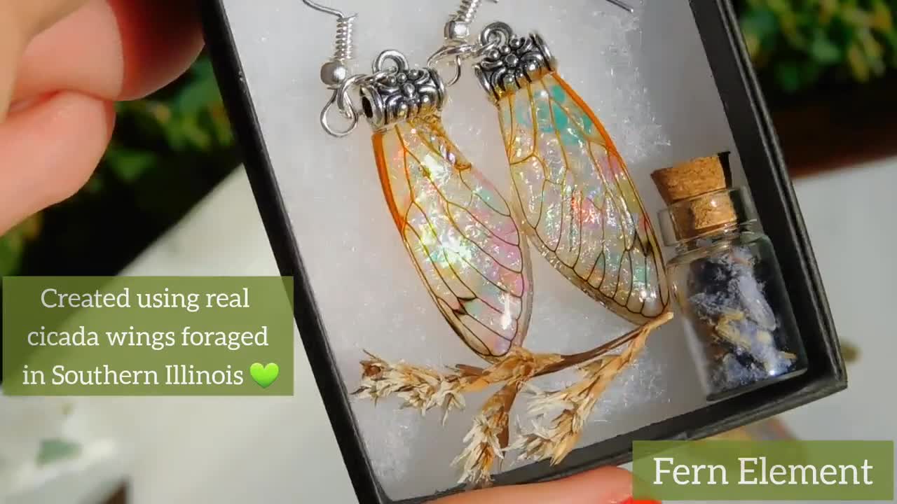 Cute Holographic Cicada Fairy Opal Earrings selling