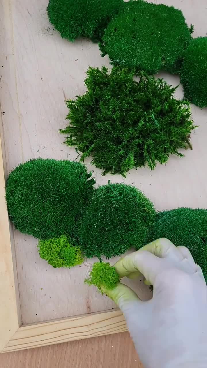 プリザーブドモスアートフレーム、グリーンウォールアート