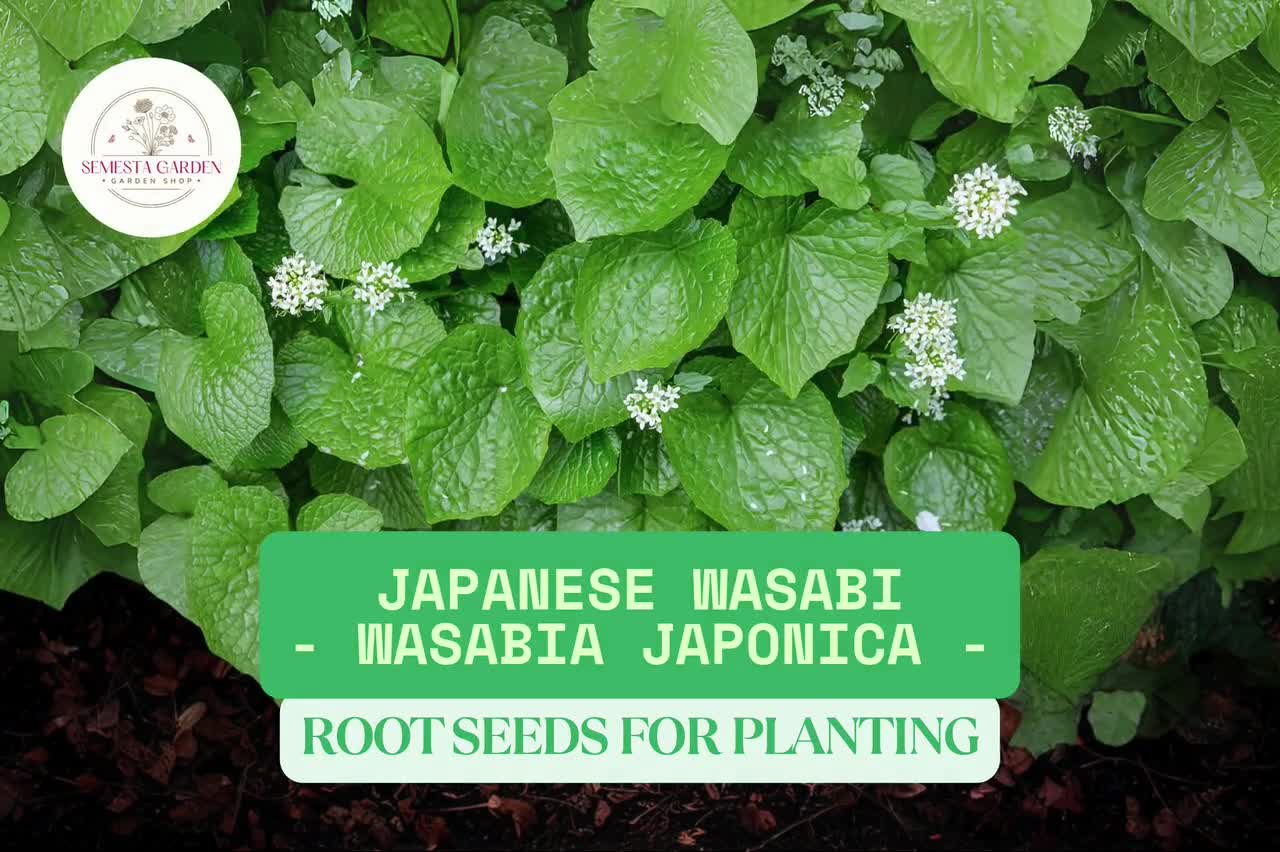 self watering planters 16