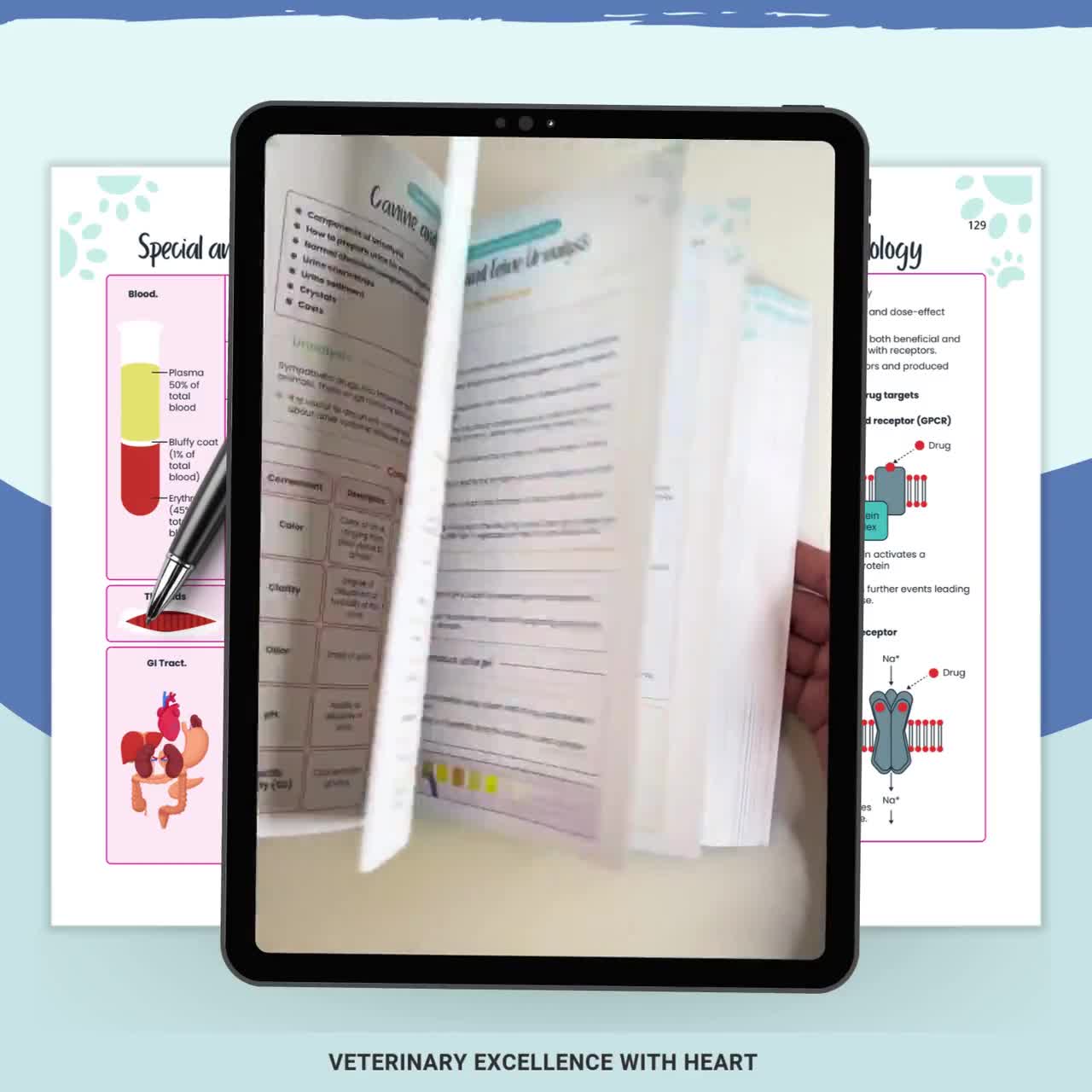 Guide d'étude des notes d'orientation vétérinaires | Préparation VTNE, aide-mémoire pour assistant vétérinaire (téléchargement numérique) video poster