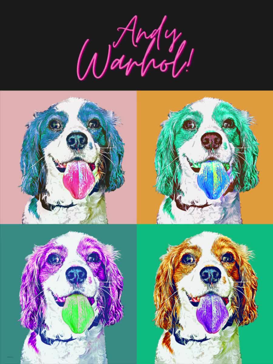 Pop Art Pet Portraits Painting Kit and Written Instructions