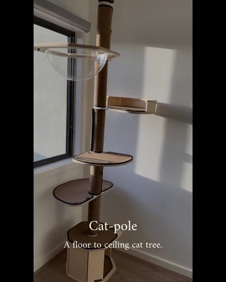 Floor-To-Ceiling Cat Pole - Etsy