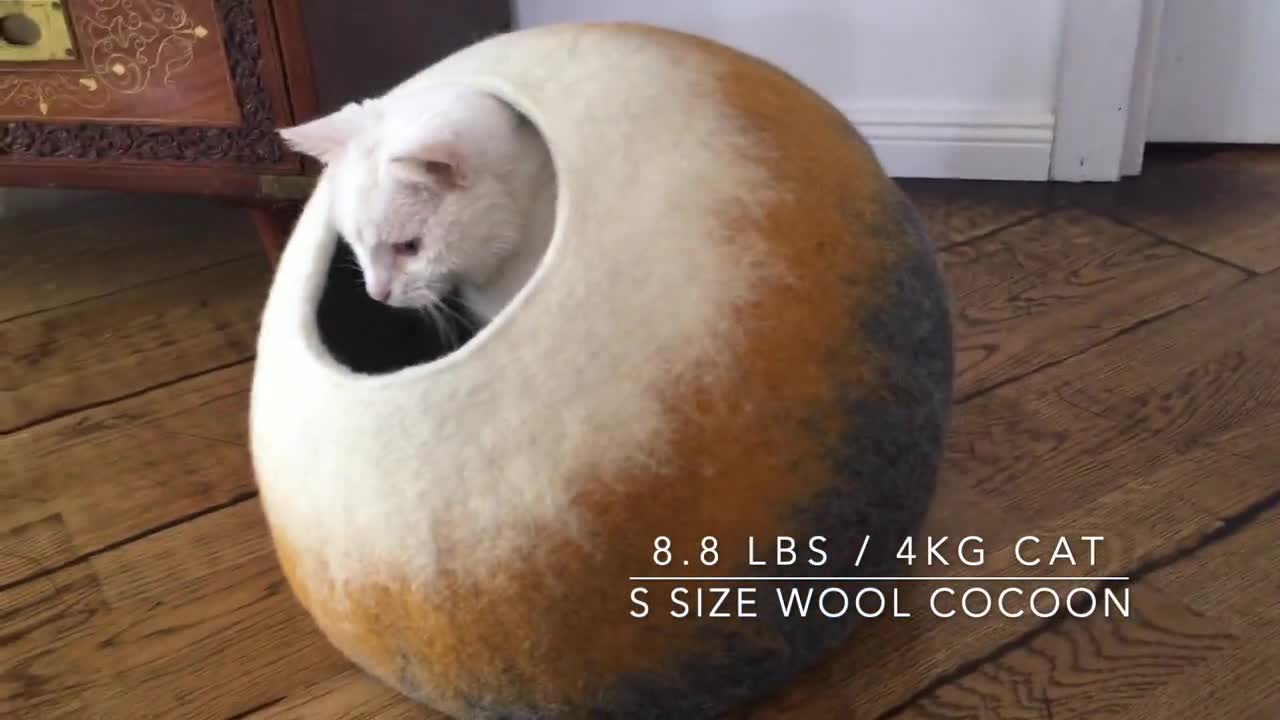 Parfait cat bed sale