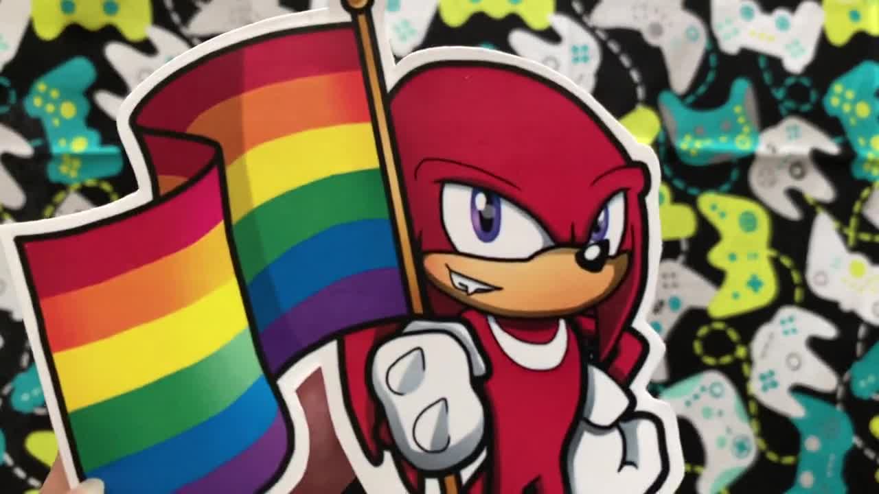 SEGA Sonic the Hedgehog Amy Rose LGBT Pride Flag Vinyl -  Portugal