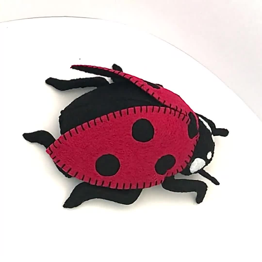 https://v.etsystatic.com/video/upload/q_auto/Ladybird_sshark.jpg