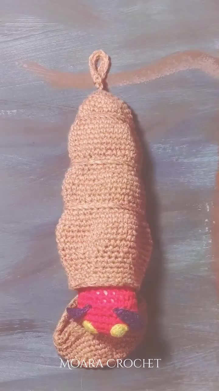 Patrón de conjunto de juego de ciclo de vida de oruga de ganchillo - La  oruga muy hambrienta Amigurumi