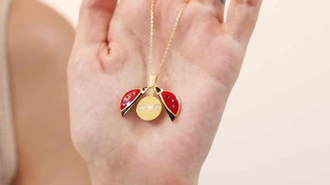 14K Gold Ladybug Necklace, Custom Opening Wings Ladybird Pendant