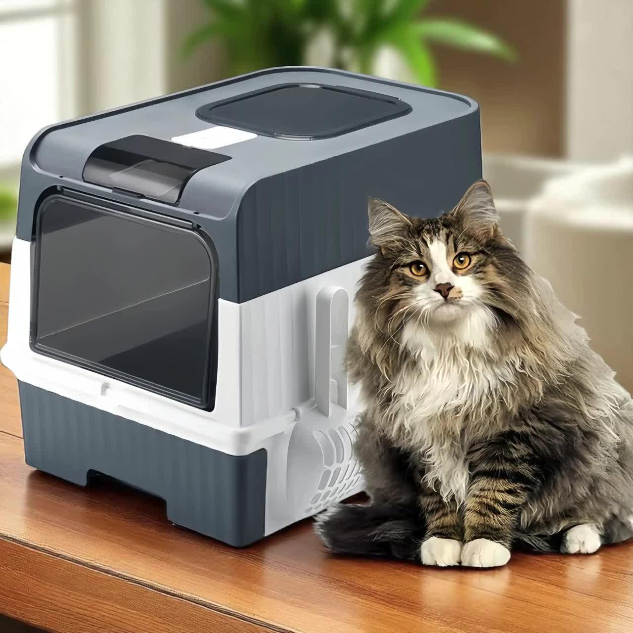 Enclosed Cat Litter Box with Lid & Scoop  Portable, Easy Clean, Splash  Guard, Custom Made