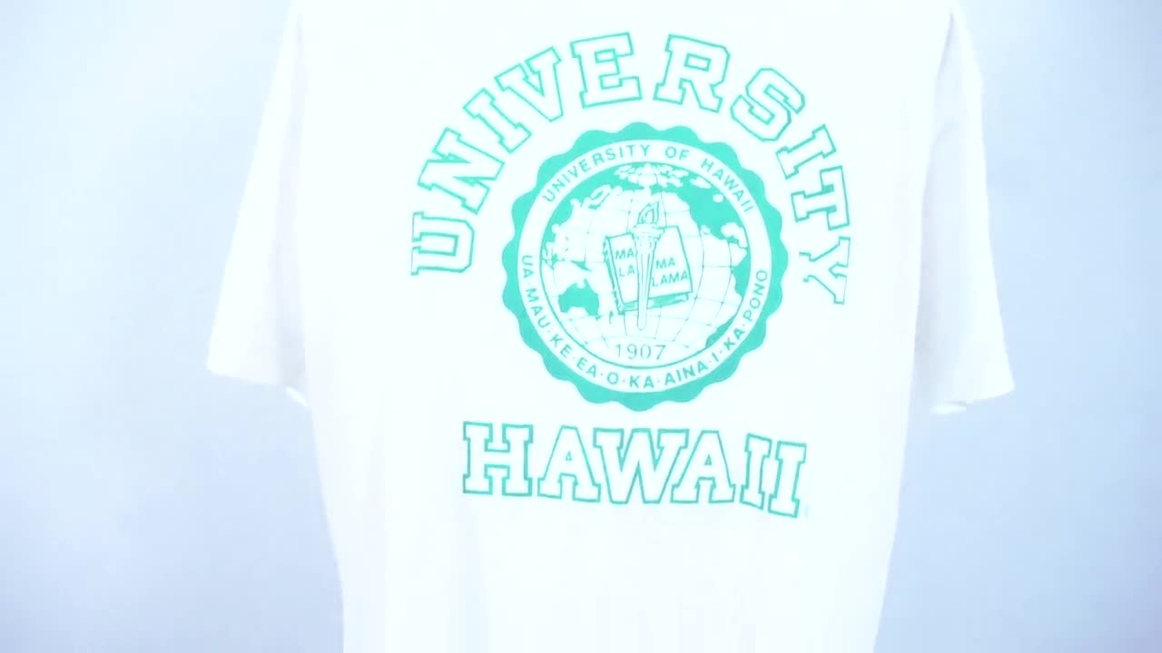 Vintage University of Hawaii Green and White Puffy Print T-shirt