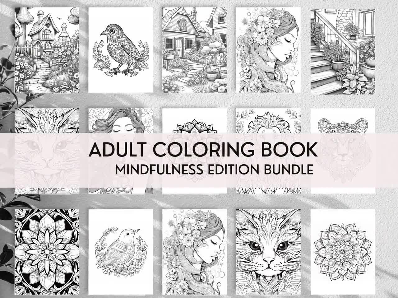 Mandalas: A Stress Relief Coloring Book for Adults - Discover Serenity,  Unleash Imagination, and Find Balance through Intricate (Paperback)