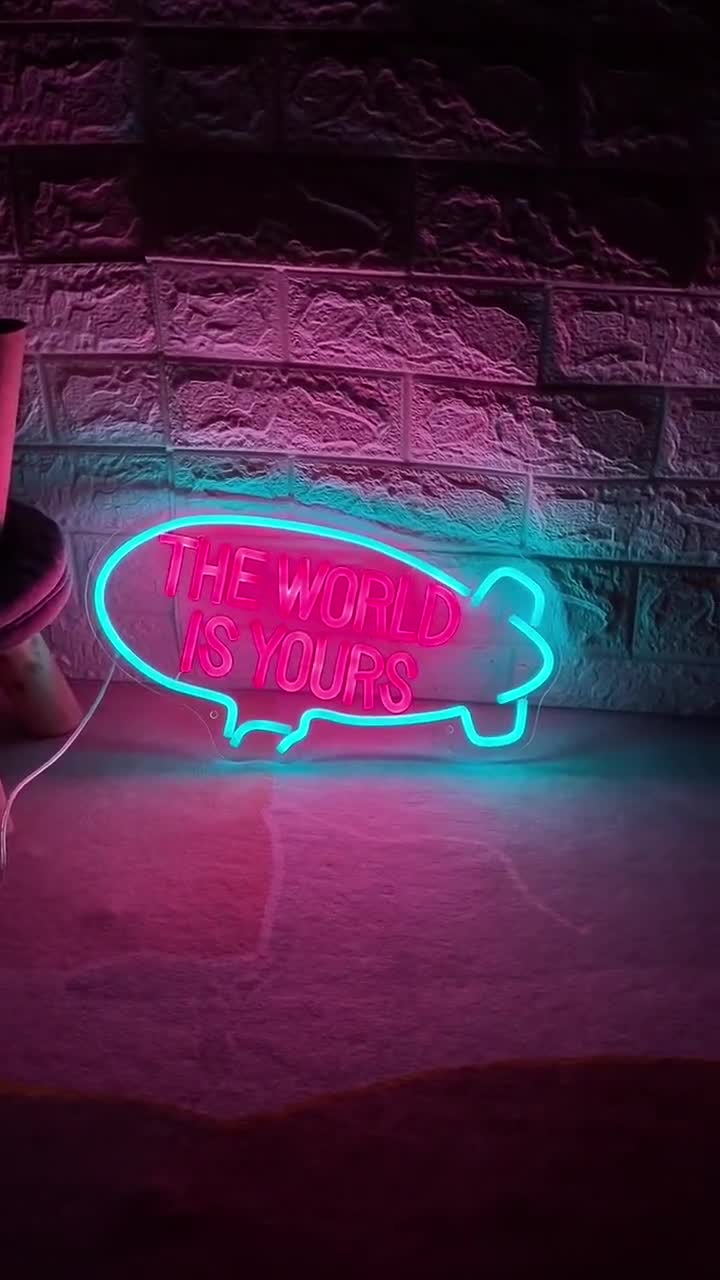 The World is Yours Neon Sign Custom Neon Sign Blimp Neon Sign Led