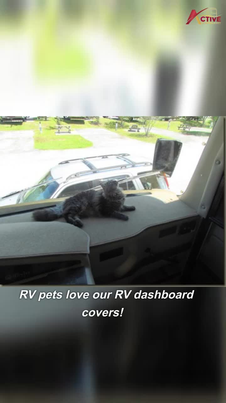 RV Motorhome Dash Covers
