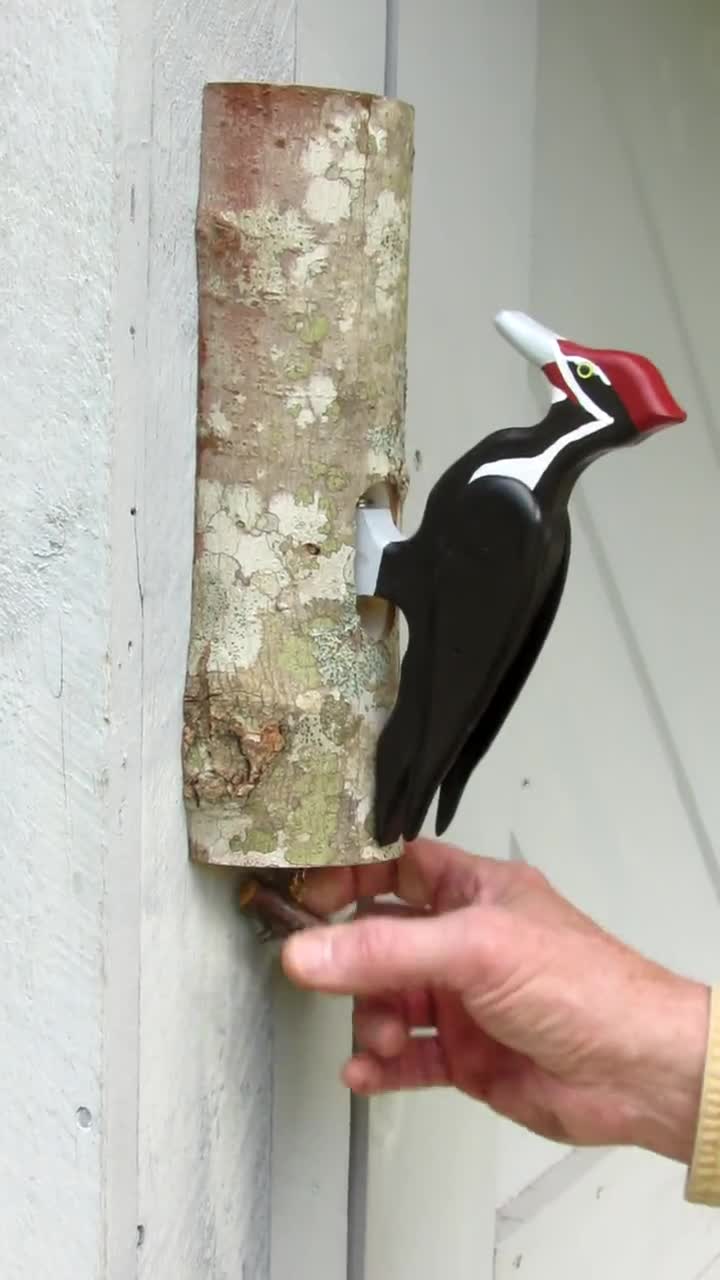 Door Knocker - Pileated Woodpecker