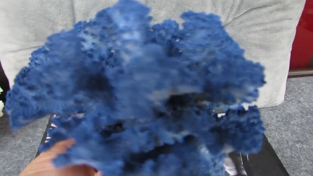 希少　深海松　青珊瑚　風鎮 本物の青い珊瑚の装飾、クリスタルベース付き珊瑚、美しい天然珊瑚