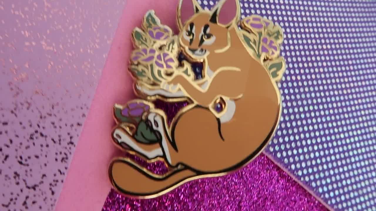 Pin on Gato Caracal