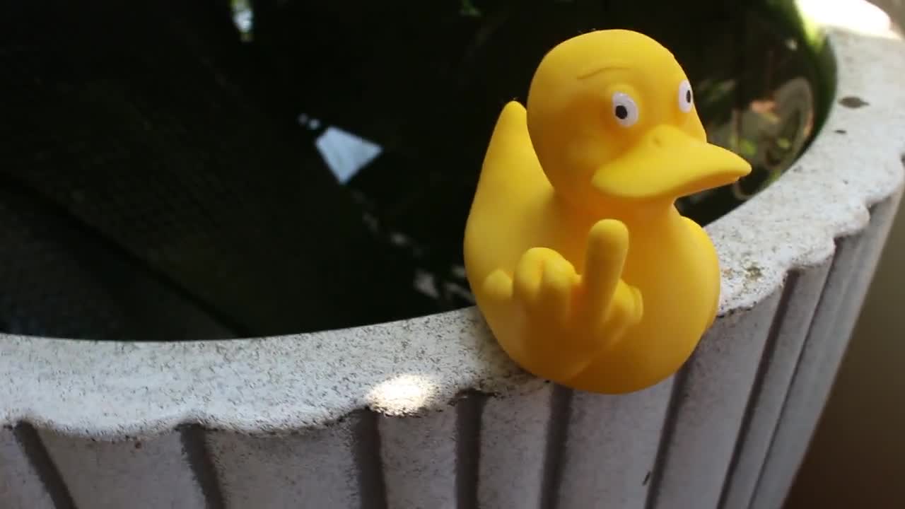 Die Finger Ente Auto Gummi Ente Bad Spielzeug Mittelfinger Kleine gelbe  Ente, lustige kleine gelbe Ente, Tischplatte, Haushaltsdekoration