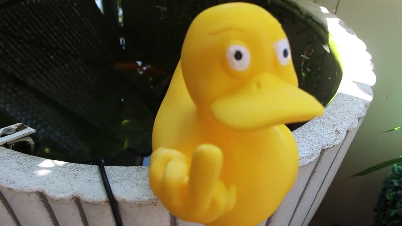 XL Böse Ente zeigt Mittelfinger, Rubber Duck, Badeente, Bad Deko