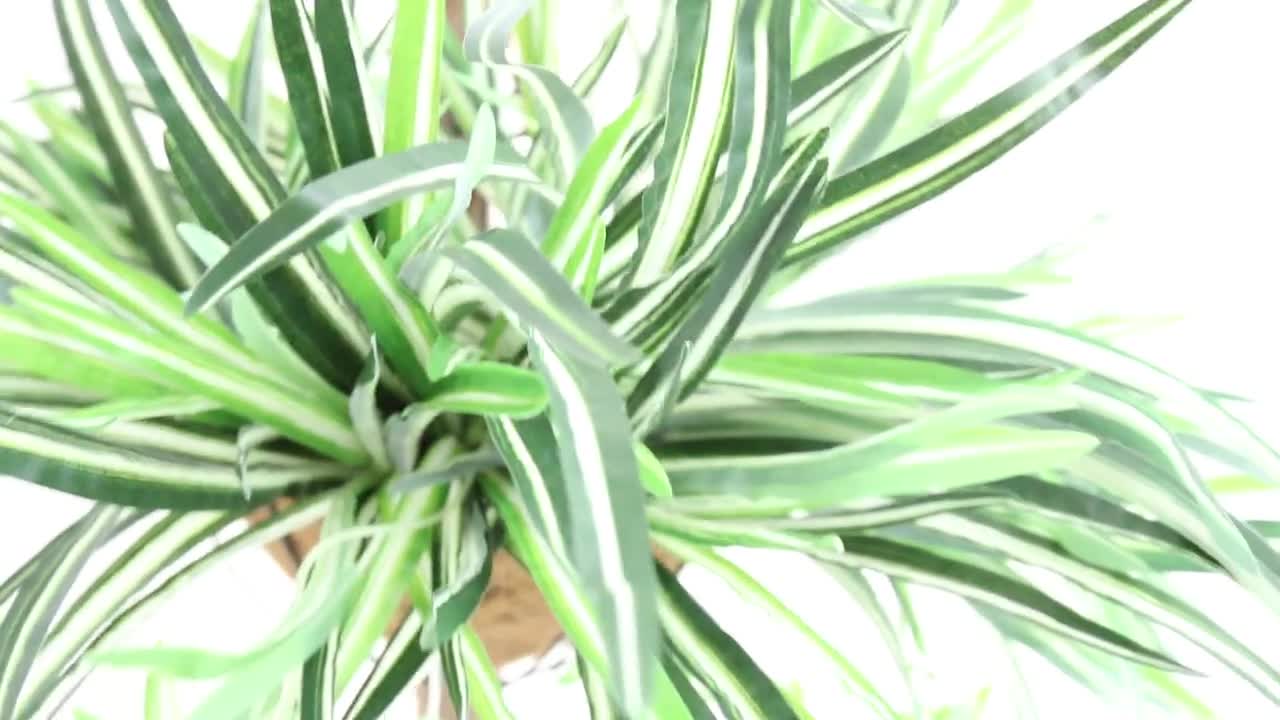 8 piante finte da giardino resistenti ai raggi UV, cespugli decorativi in plastica per esterno, veranda, ingresso, fioriere e patio | Leroy Merlin