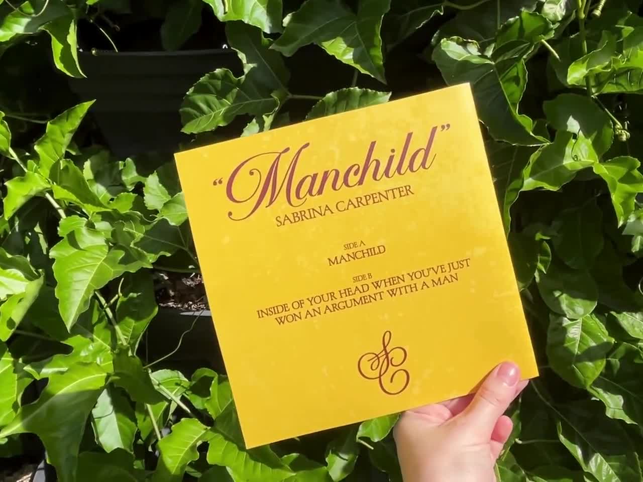 Sabrina Carpenter Manchild DIY Vinyl Record Sleeve: Instant