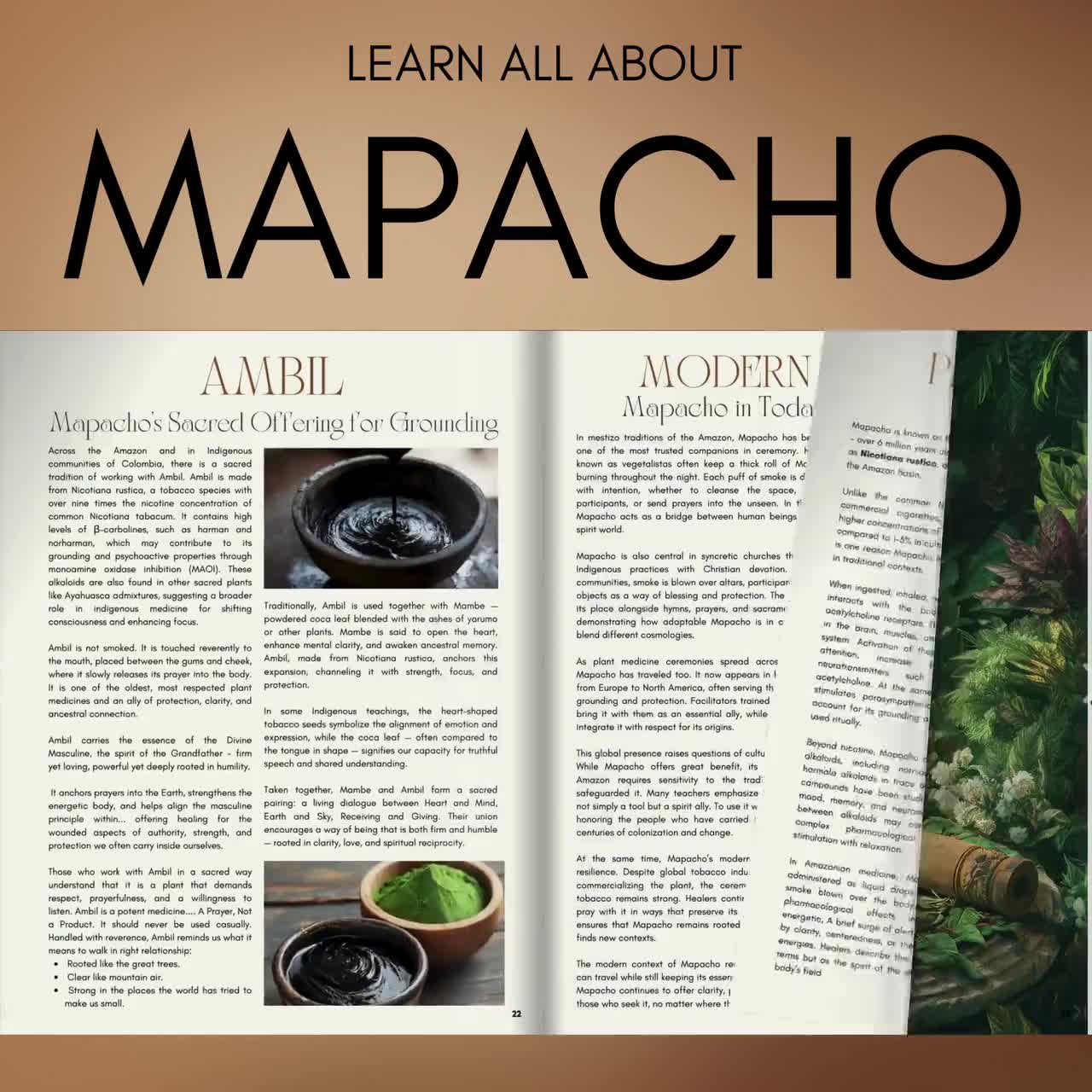 Mapacho Sacred Tobacco Guide, Plant Medicine Retreat Printable, Nicotiana  Rustica, Entheogen Education PDF