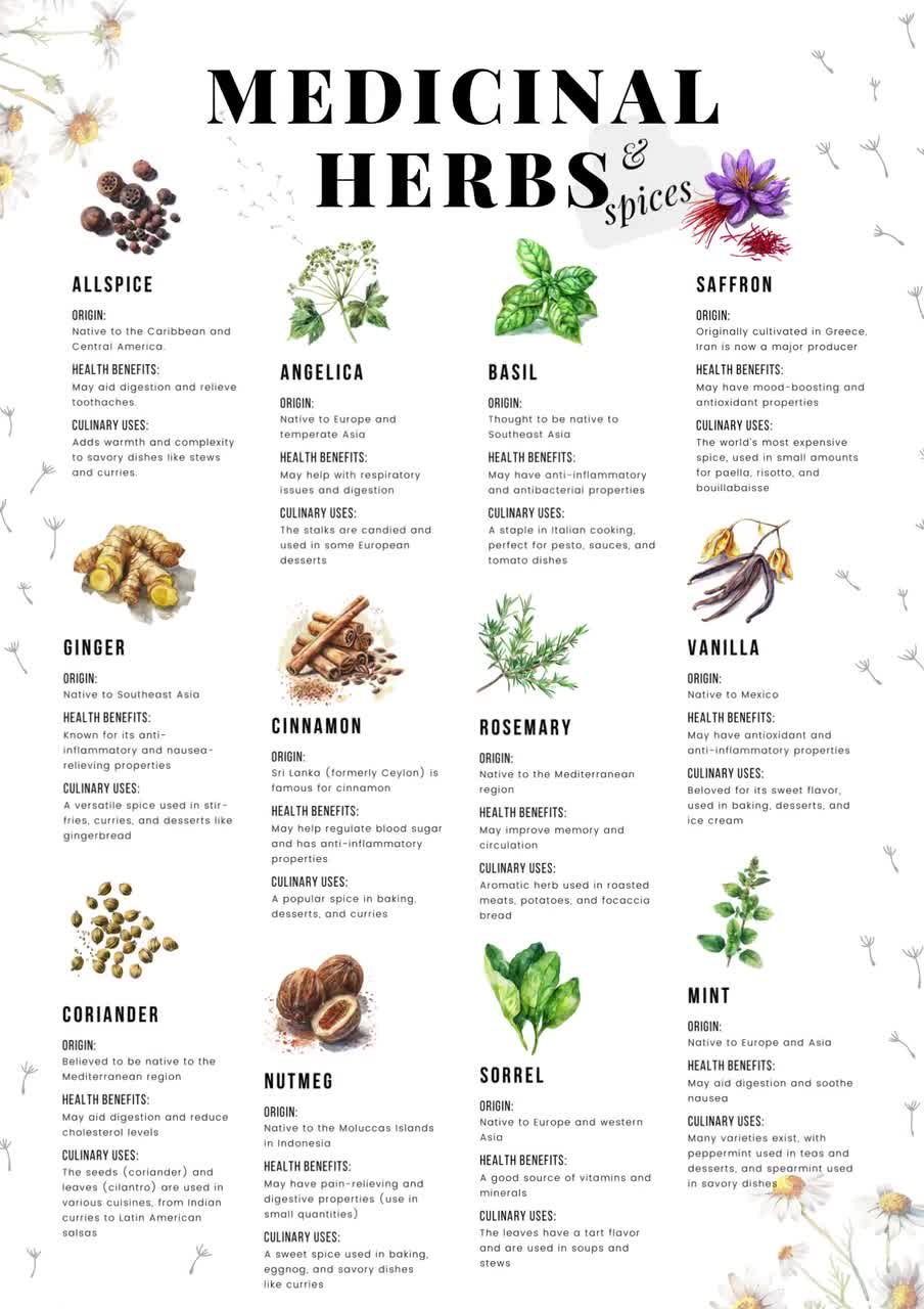 Free Printable Medicinal Herb Chart Free Printable Medicinal Herb Chart