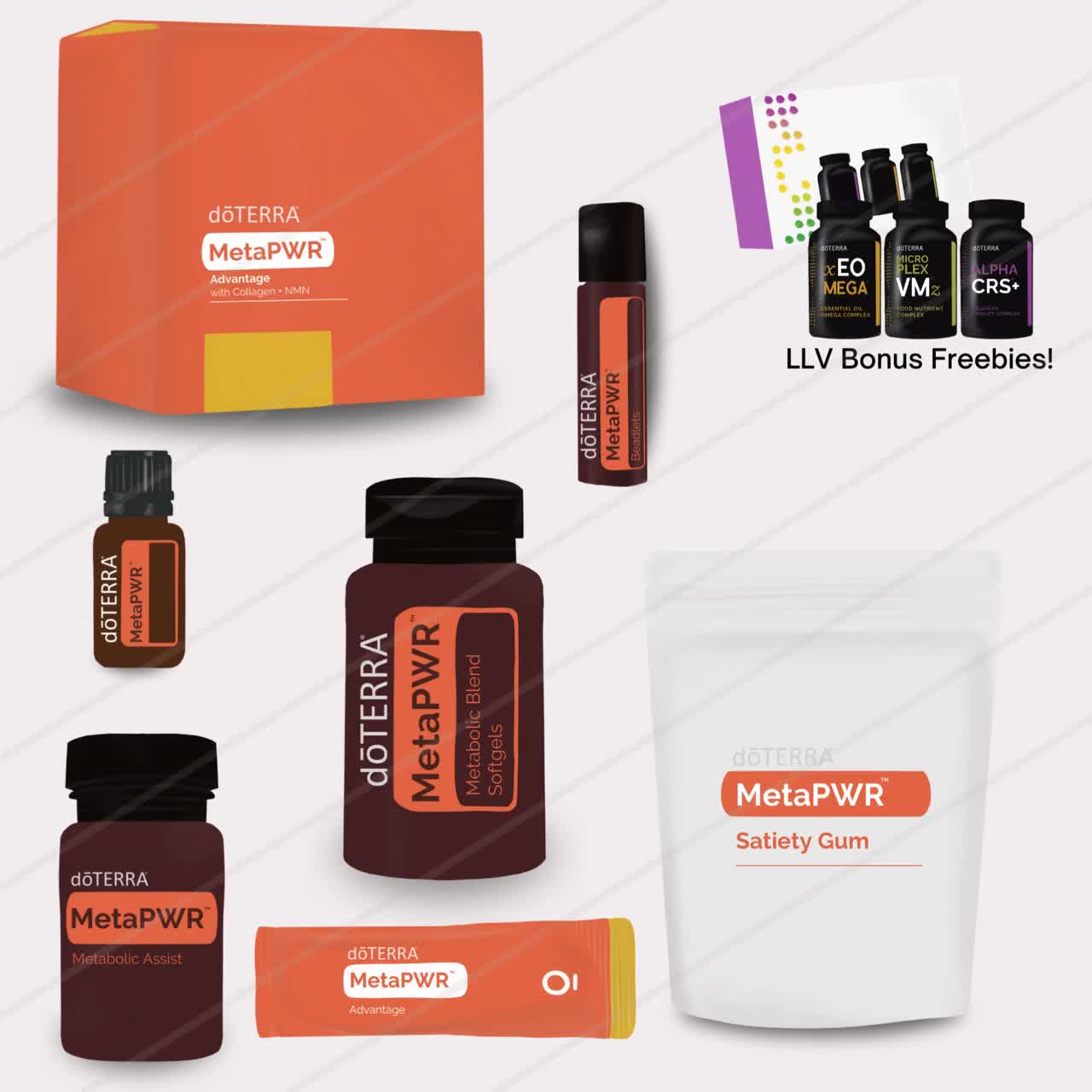 ドテラ doTERRA メタPWR ボロかっ システム