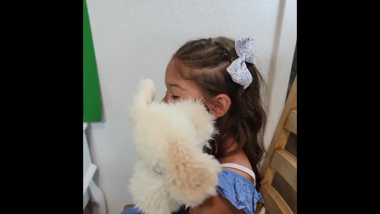 犬のハンドパペット 柔らかいぬいぐるみ ふわふわの犬 かわいい犬の