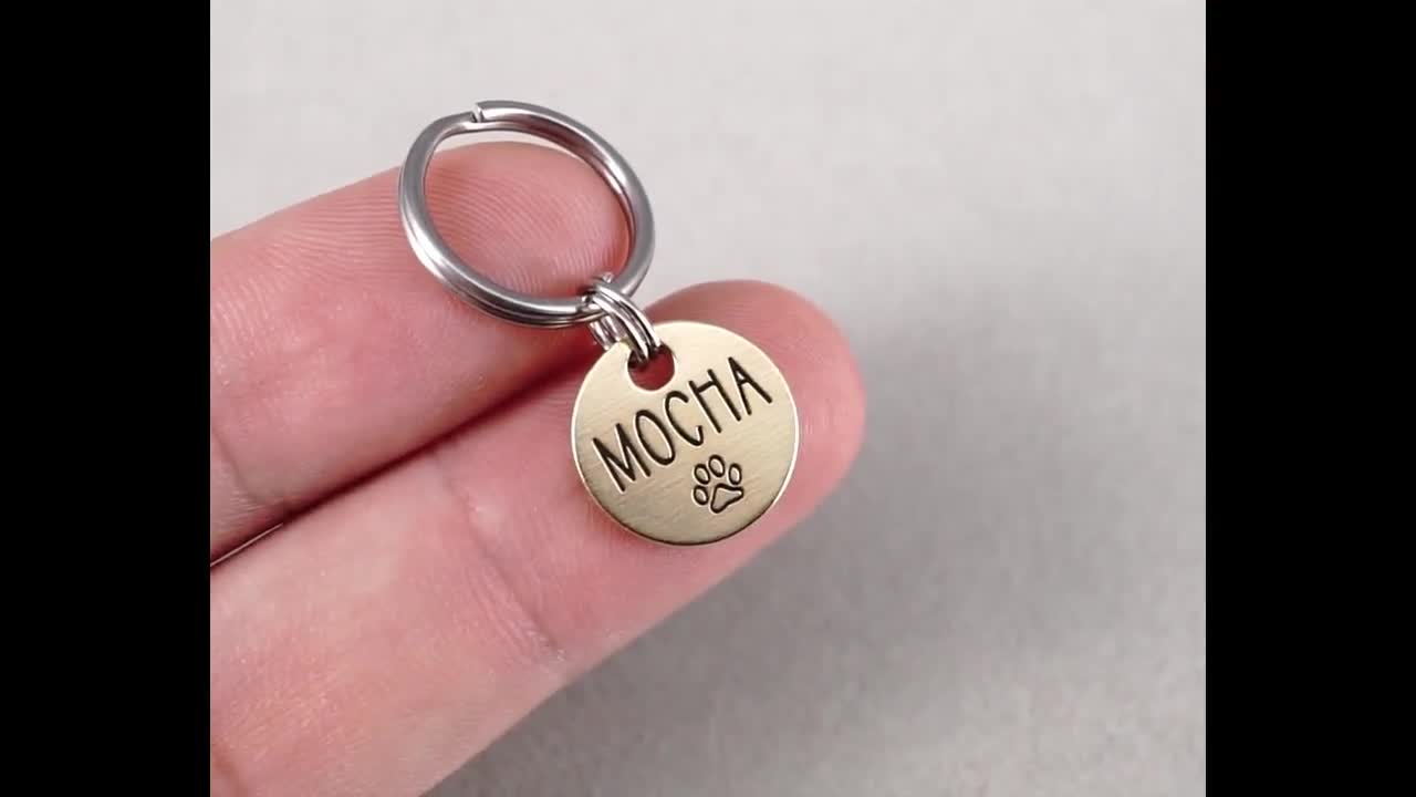 Médaille pour chat en laiton gravée : petite pièce d'identité personnalisée pour animal de compagnie, faite main video poster