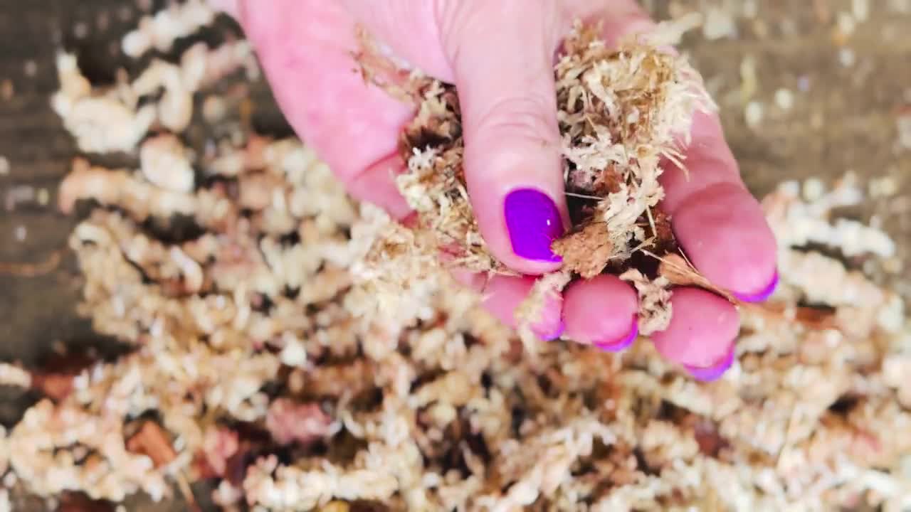 Mélange de mousse, de sphaigne, d'écorce de pin, de copeaux de coco et d'engrais organique pour plantes aroïdes ou grimpantes, substrat de rempotage aéré 8,5 L video poster