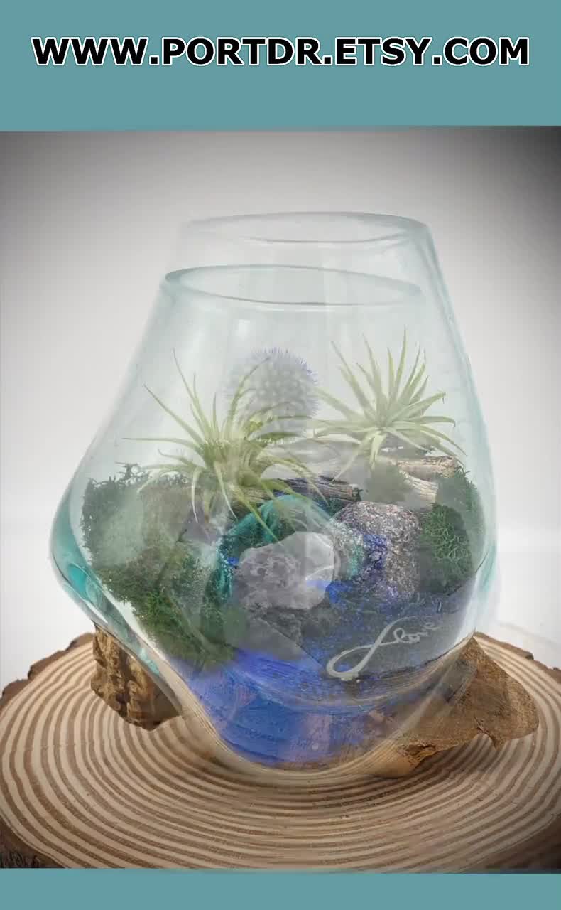 Pink Table Airplant Terrarium –