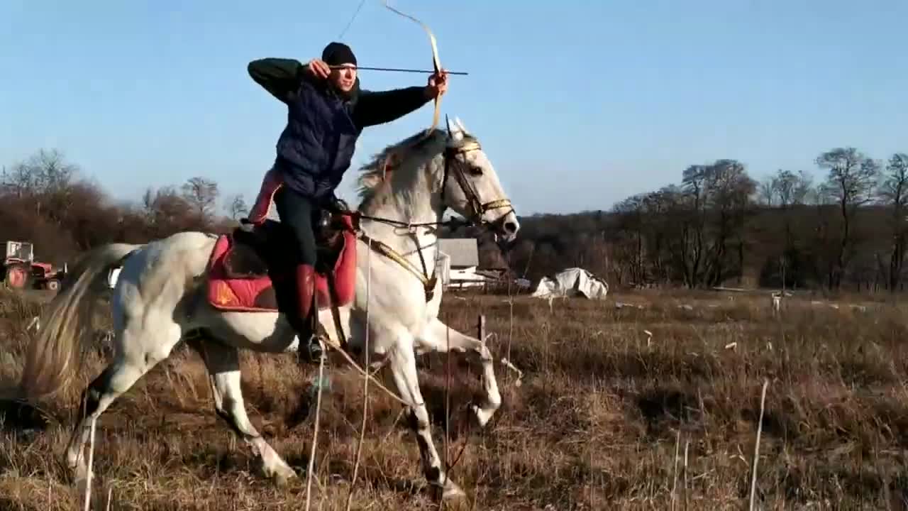 中世トルコ弓 - 伝統的なトルコの反射弓術馬弓、騎馬弓術 - Etsy 日本
