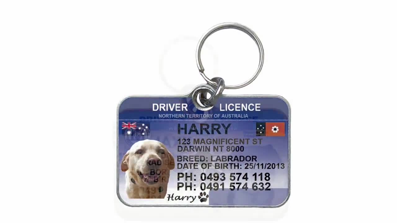 Animal Control Dog License Tag Victoria Licence Dog Tags Deals