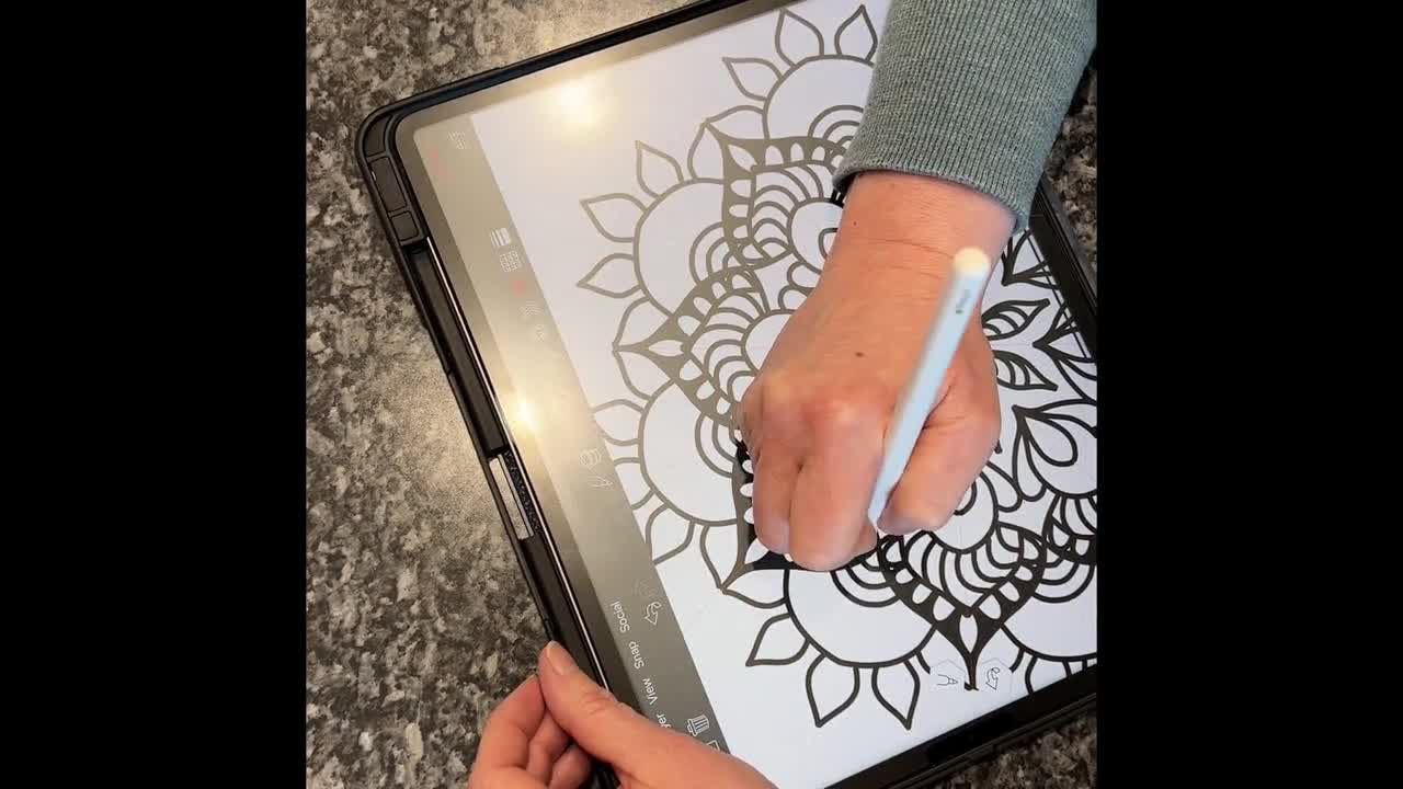 Mandala Adult Coloring Book: Over 100 Mandala Coloring Pages for Relaxing  and Stress Free Fun 