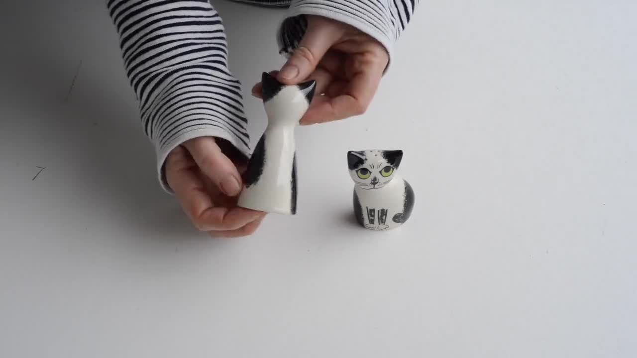 From cool cats to cacti: The best novelty salt and pepper shakers for  gifting and collecting, London Evening Standard