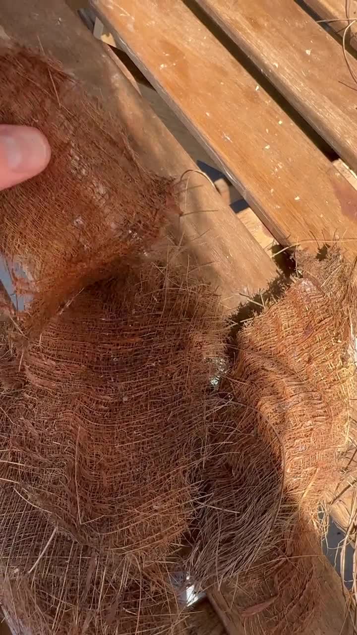 ACCESSOIRE POUR L'ART FLORAL > Fibre de Palmier( ecorce ) naturel en feuille par 5 pièces | Matériel d'art floral et conseils pour la décoration florale