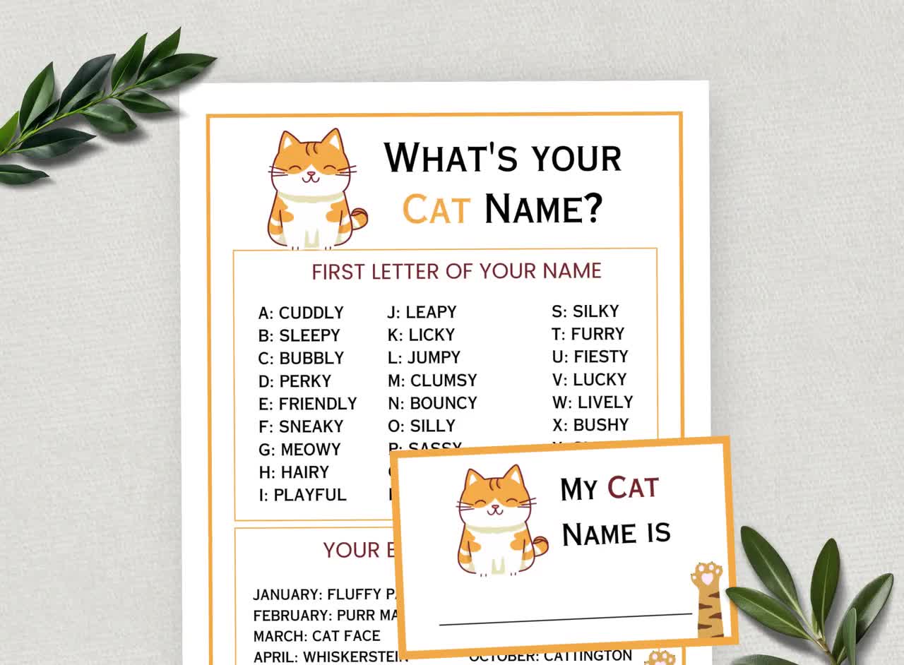NAME_game_mockup_kjuvt8.jpg